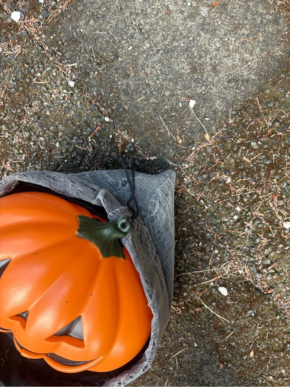 Halloween Pumpkin - Black & Orange